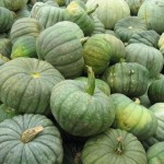 Pumpkin