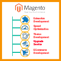 Magento Design Service